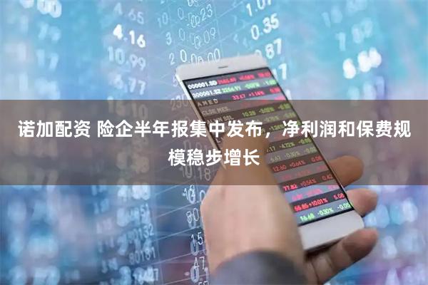 诺加配资 险企半年报集中发布，净利润和保费规模稳步增长