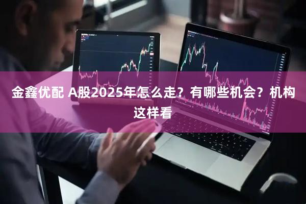 金鑫优配 A股2025年怎么走？有哪些机会？机构这样看